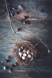 Happy Easter Background with Chocolate, Bird Nest on Tree Branch stock photo Happy Easter Background with Chocolate, Bird Nest on Tree Branch stock photo