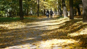Happy family walking along the park lane on an autumn day. slow motion stock images Happy family walking along the park lane on an autumn day. slow motion stock images