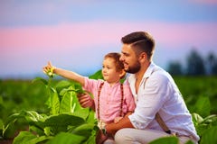 Happy father and son on their tobacco plantation, at sunset royalty free stock image Happy father and son on their tobacco plantation, at sunset royalty free stock image