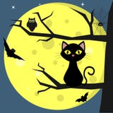 Happy Halloween. A black cat sits on a tree, against a background of a full moon at night. Owl, spider, cobwebs royalty free illustration Happy Halloween. A black cat sits on a tree, against a background of a full moon at night. Owl, spider, cobwebs royalty free illustration
