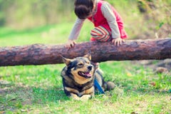 Little girl playing with the dog stock photography Little girl playing with the dog stock photography