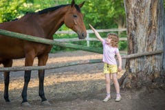 Happy little girl stroking a horse, standing near the fence in the stable stock photos Happy little girl stroking a horse, standing near the fence in the stable stock photos