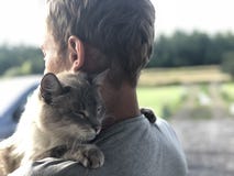 Happy meeting of the gray blue-eyed cat with the owner after parting, the cat gratefully hugs the blonde and smiles royalty free stock photography Happy meeting of the gray blue-eyed cat with the owner after parting, the cat gratefully hugs the blonde and smiles royalty free stock photography