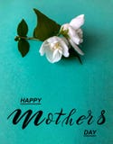 Happy Mother`s Day! Flat Lay, Banner, Congratulations On Mother`s Day Stock Photo Happy Mother`s Day! Flat Lay, Banner, Congratulations On Mother`s Day Stock Photo
