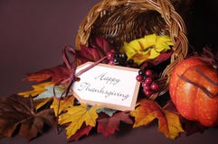 Happy Thanksgiving Cornucopia Wicker Basket Closeup Royalty Free Stock Photos Happy Thanksgiving Cornucopia Wicker Basket Closeup Royalty Free Stock Photos