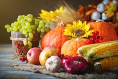 Happy Thanksgiving Day background, wooden table decorated with Pumpkins, Maize, fruits and autumn leaves. Harvest stock photo Happy Thanksgiving Day background, wooden table decorated with Pumpkins, Maize, fruits and autumn leaves. Harvest stock photo