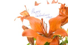 Happy Valentines Day Stock Photos Happy Valentines Day Stock Photos