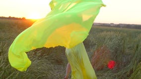 Happy young beautiful woman in yellow dress running on wheat field in sunset summer, Freedom health happiness concept stock video Happy young beautiful woman in yellow dress running on wheat field in sunset summer, Freedom health happiness concept stock video