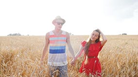 Happy young couple walking together through wheat field stock video footage Happy young couple walking together through wheat field stock video footage