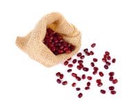 Haricots d'Adzuki, haricots d'Azuki, haricots rouges dans le sac sur le fond blanc image libre de droits Haricots d'Adzuki, haricots d'Azuki, haricots rouges dans le sac sur le fond blanc image libre de droits