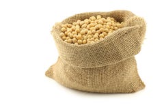 Haricots de soja dans un sac de toile de jute photos stock Haricots de soja dans un sac de toile de jute photos stock