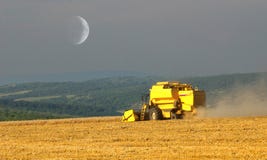Harvest Stock Image