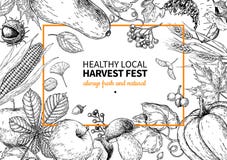 Harvest festival. Hand drawn vintage vector frame illustration with vegetables, fruits, leaves. Vector Illustration Harvest festival. Hand drawn vintage vector frame illustration with vegetables, fruits, leaves. Vector Illustration