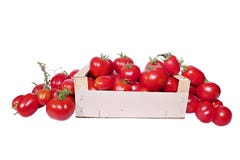 Harvest Red Ripe Tomatoes In Wooden Box Royalty Free Stock Image