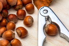 Haselnüsse mit cascador lizenzfreie stockbilder Haselnüsse mit cascador lizenzfreie stockbilder