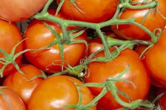 Haufen von frischen reifen roten Tomaten ohne Niederlassungen schließen oben stockfotografie Haufen von frischen reifen roten Tomaten ohne Niederlassungen schließen oben stockfotografie