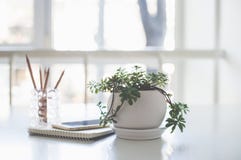 Hauptanlage, Geschäftsnotizblock und Smartphone in der Hintergrundbeleuchtung stockfoto Hauptanlage, Geschäftsnotizblock und Smartphone in der Hintergrundbeleuchtung stockfoto