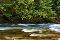 Hausse le long de Salmon River Mt Hood National Forest images stock Hausse le long de Salmon River Mt Hood National Forest images stock