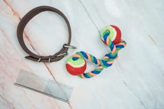 Haustierzubeh?rkonzept Kragen, Spielzeug und Kamm für Haustier stockfotos Haustierzubeh?rkonzept Kragen, Spielzeug und Kamm für Haustier stockfotos