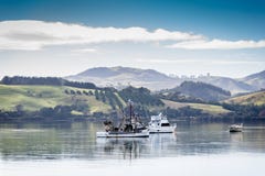 Haven van Mangonui, Nieuw Zeeland stock fotografie Haven van Mangonui, Nieuw Zeeland stock fotografie