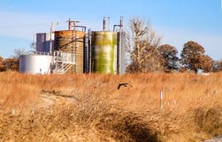 Havik de jachtmuizen op bruin gebied voor de vrije water-olie die van het waterknockout tanks scheiden tegen de winterbomen royalty-vrije stock afbeelding Havik de jachtmuizen op bruin gebied voor de vrije water-olie die van het waterknockout tanks scheiden tegen de winterbomen royalty-vrije stock afbeelding