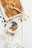 Havregranola med pecannötter, mandlar, yoghurt och blåbäret i bunke royaltyfri fotografi Havregranola med pecannötter, mandlar, yoghurt och blåbäret i bunke royaltyfri fotografi
