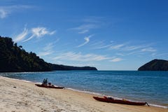 Havskajaker på stranden arkivfoton Havskajaker på stranden arkivfoton