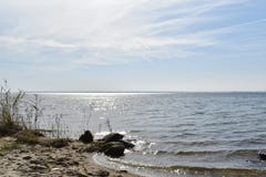 Havslandskap på solig dag, kusten, vågor och ingen Härlig horisont över vatten med sandig ett strand- och dyngräs i fören fotografering för bildbyråer Havslandskap på solig dag, kusten, vågor och ingen Härlig horisont över vatten med sandig ett strand- och dyngräs i fören fotografering för bildbyråer