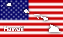 Image result for hawaiian flag