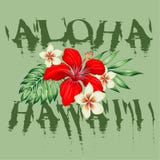 Hawaje kwiatów tropikalny projekt barwiący aloha ilustracji Hawaje kwiatów tropikalny projekt barwiący aloha ilustracji