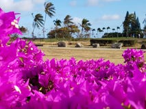 Hawaï Kai Golf Course images stock Hawaï Kai Golf Course images stock