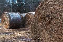 Hay Bales häufte oben auf einem Feld an lizenzfreie stockbilder Hay Bales häufte oben auf einem Feld an lizenzfreie stockbilder
