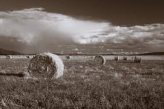 Hay On The Prairie. Royalty Free Stock Photos