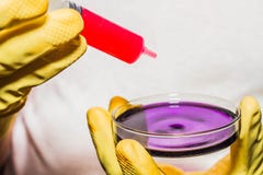 Hay un experimento en las sustancias químicas Hay un experimento en las sustancias químicas