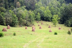 haystacks fotos de stock haystacks fotos de stock