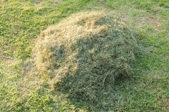 Haystacks near the hill. royalty free stock photo Haystacks near the hill. royalty free stock photo
