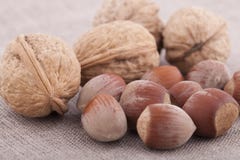 Hazelnut and walnuts on textile background close up Royalty Free Stock Photo Hazelnut and walnuts on textile background close up Royalty Free Stock Photo