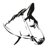 Head Of Donkey. Vector Drawing Stock Image