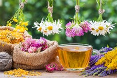 Healing Herbs, Bags With Dried Plants And Tea Cup Royalty Free Stock Image