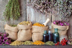 Healing herbs in hessian bags and bottles of essential oil