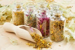 Healing Herbs In Glass Bottles Stock Photo
