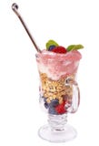 Healthy Breakfast With Muesli And Yoghurt Stock Images Healthy Breakfast With Muesli And Yoghurt Stock Images