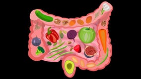 Healthy food for intestinal health. Video on a transparent background