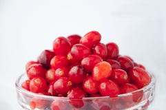 Healthy Fruits, Gem-quality Fruits, British Columbia, Canada, Cranberries, Red Berries, stock photo Healthy Fruits, Gem-quality Fruits, British Columbia, Canada, Cranberries, Red Berries, stock photo