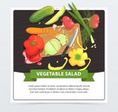 Cooking vegetable salad in process stock illustration Cooking vegetable salad in process stock illustration