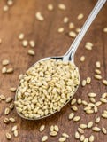Healthy Wheat Berries Stock Photography