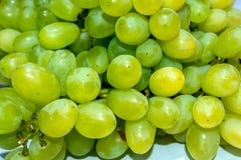Heap of green and Yellowish grapes. royalty free stock photos Heap of green and Yellowish grapes. royalty free stock photos