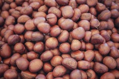 A heap of organic whole roasted chestnuts. royalty free stock photography A heap of organic whole roasted chestnuts. royalty free stock photography