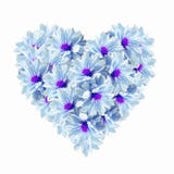 Heart Blue Light Flowers Royalty Free Stock Photos Heart Blue Light Flowers Royalty Free Stock Photos
