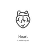 heart icon vector from human organs collection. Thin line heart outline icon vector illustration. Outline, thin line heart icon stock illustration heart icon vector from human organs collection. Thin line heart outline icon vector illustration. Outline, thin line heart icon stock illustration